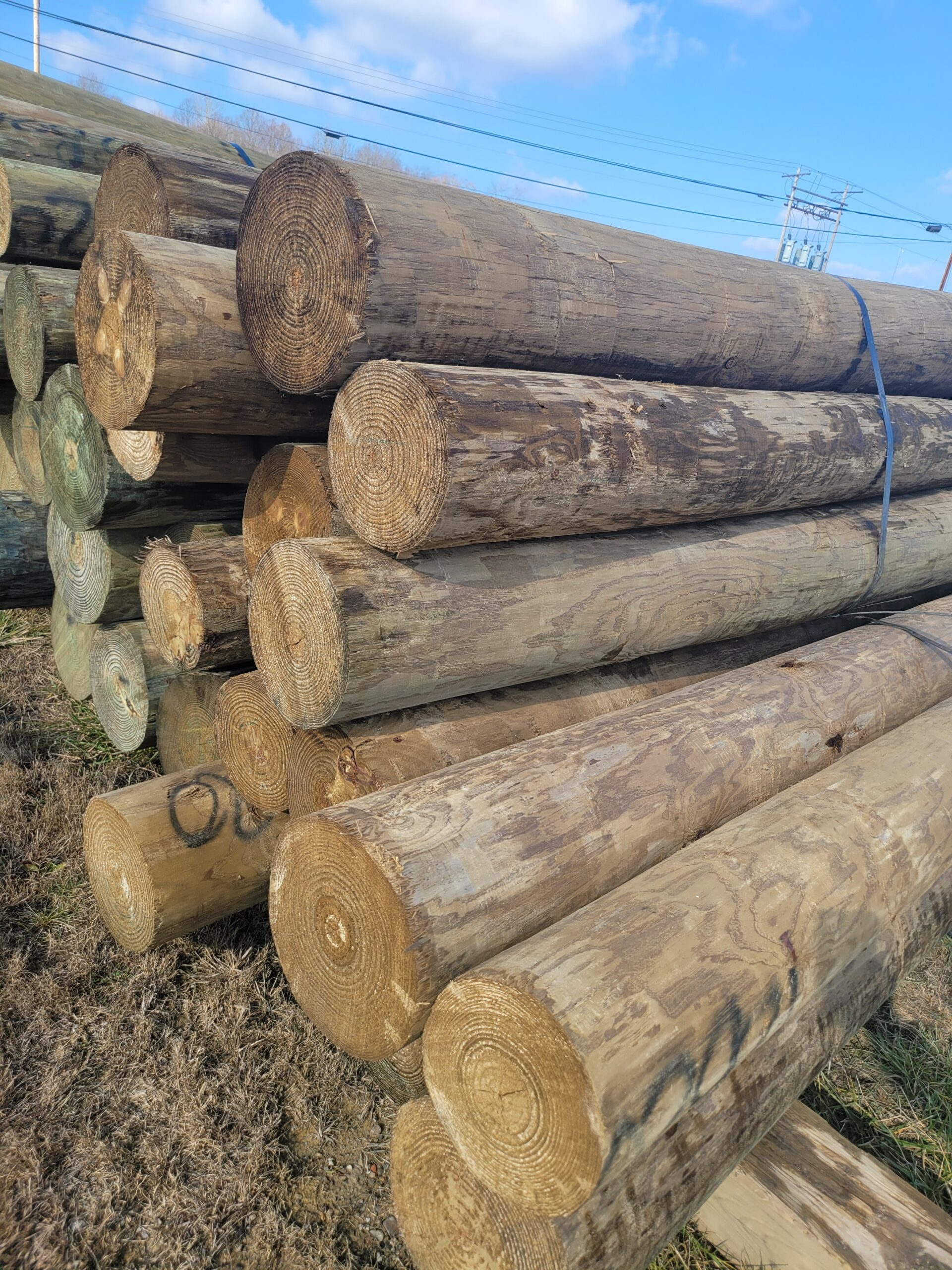 10 foot wood fence post