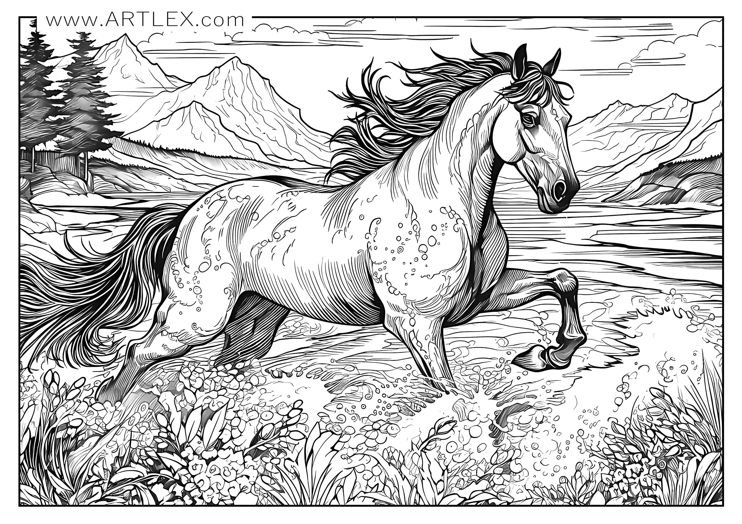 12 Best Horses Coloring Pages Free Printable Artlex Worksheets Library