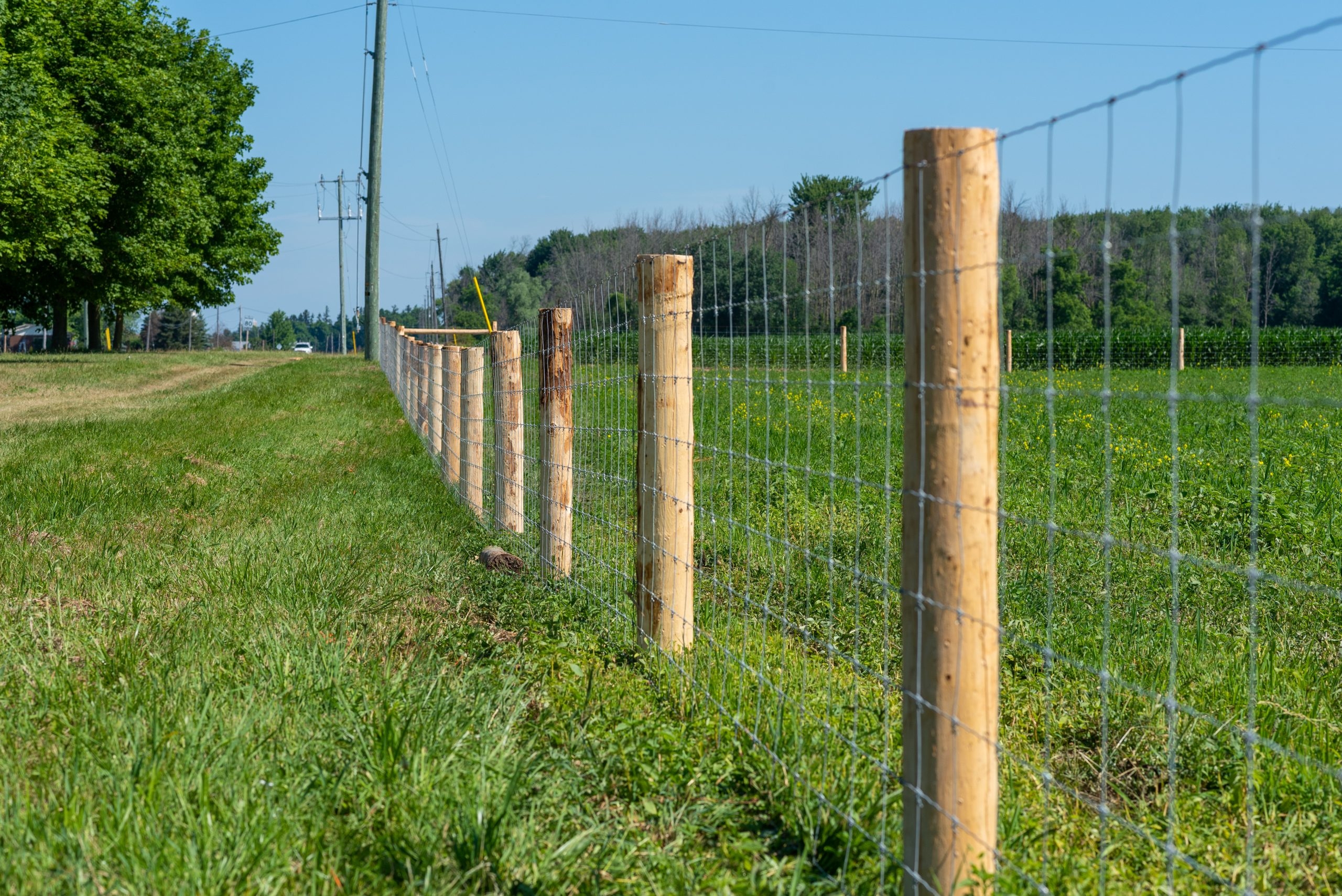 8 Reasons Why Investing In A New Fence Increases Your Property Value Inline Fence