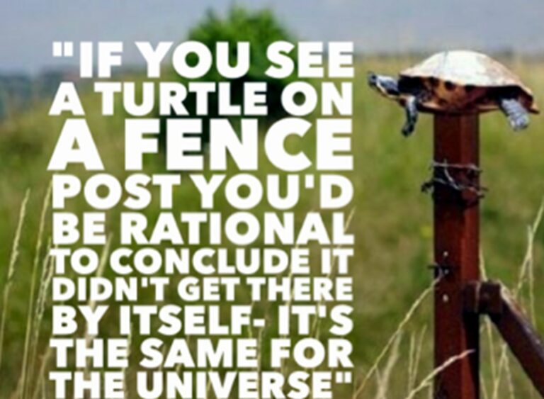 A Turtle On A Fencepost CoffeeBreak With The Word