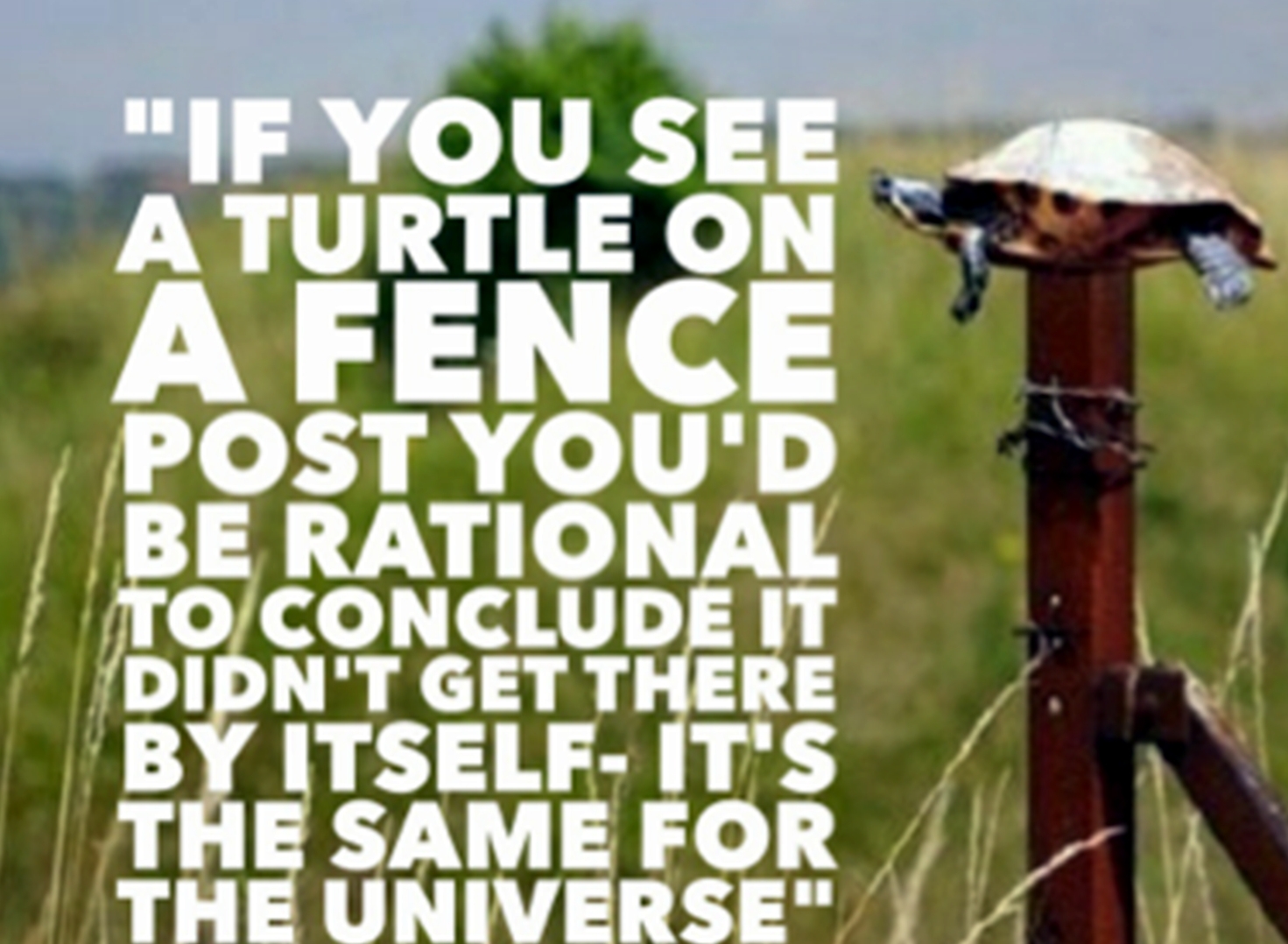 A Turtle On A Fencepost CoffeeBreak With The Word