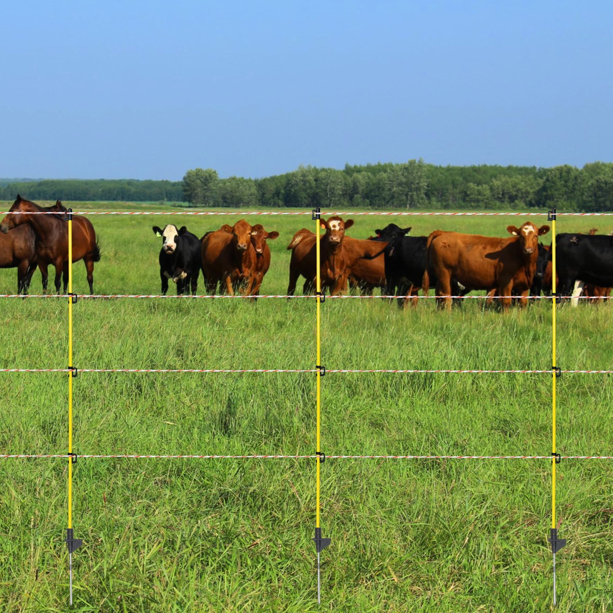Amazon Electric Fence Posts 46 Inches Fiberglass Step In Temporary Electric Fence Posts For Cows Sheep Dog Portable Fence Stakes For Electric Fencing 10 PCS Patio Lawn Garden