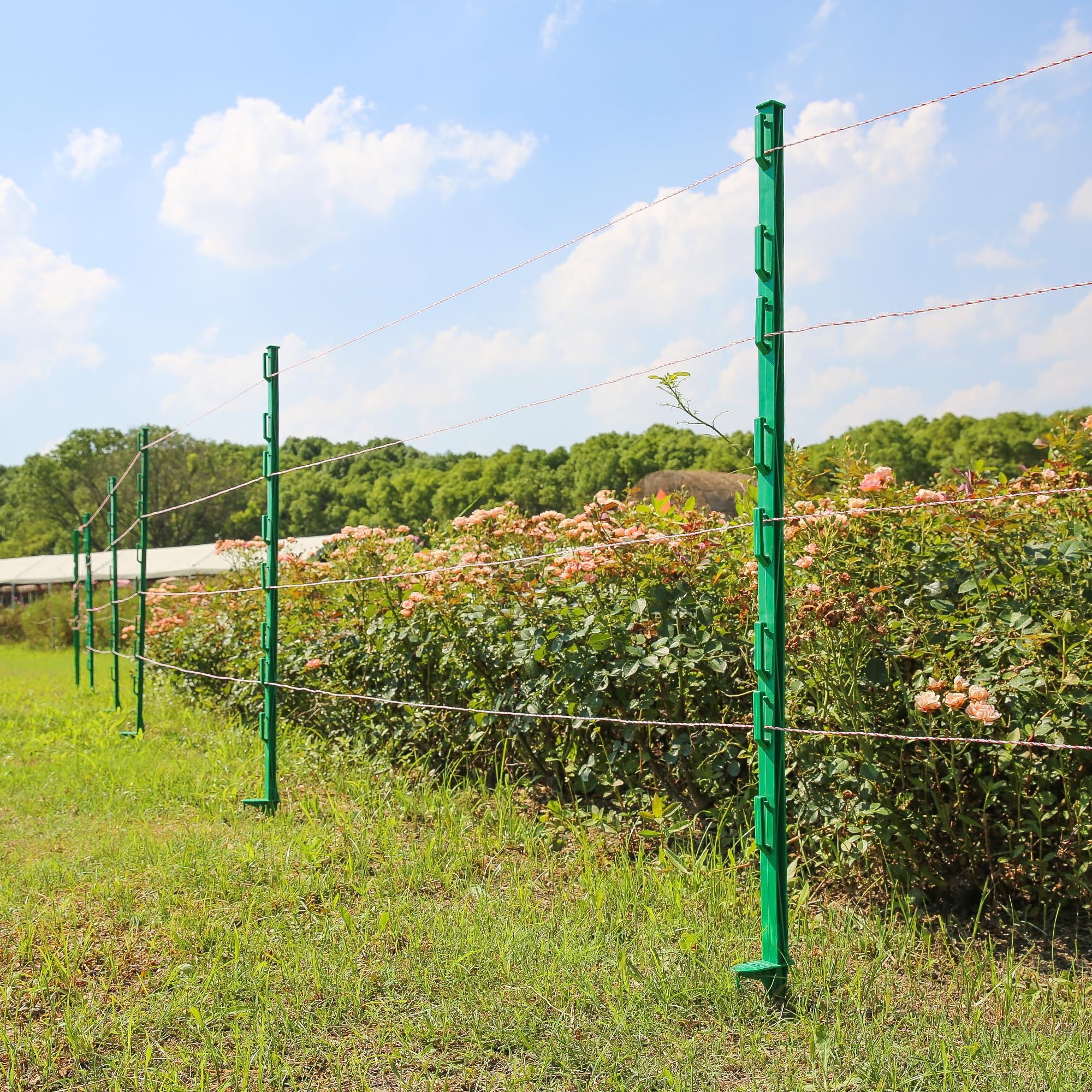 electric fence posts step in