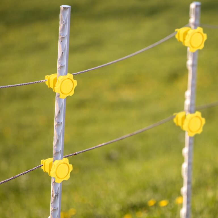 Amazon Frienda 50 Pcs Electric Fence Wire Insulators Screw Round Post Insulator Fence Wire Holding Insulator Post Clips Insulators For Farm Pet Containment Patio Lawn Garden