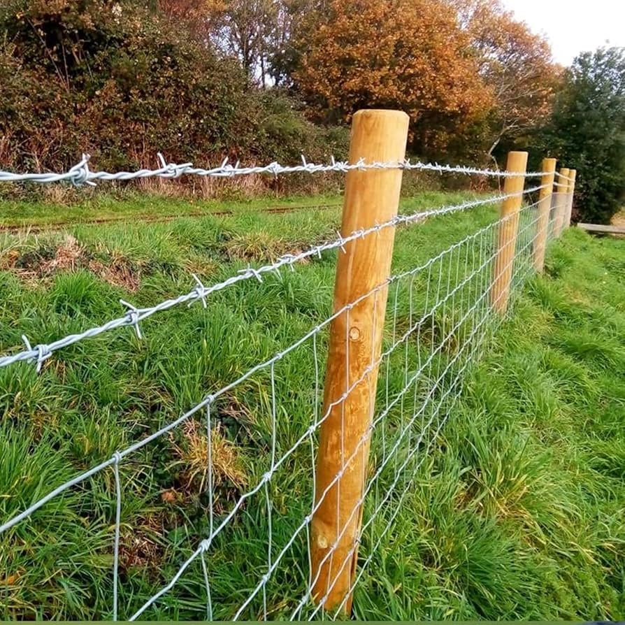 Amazon HSYFdy 4 Point Barbed Wire Fence Tough Barbwire Barb Wire Roll High Tensile Galvanized Steel Double Strand Twisted Fencing Wire Spacing Between Barbs 5 Color 1 8MM Size 10M Patio Lawn