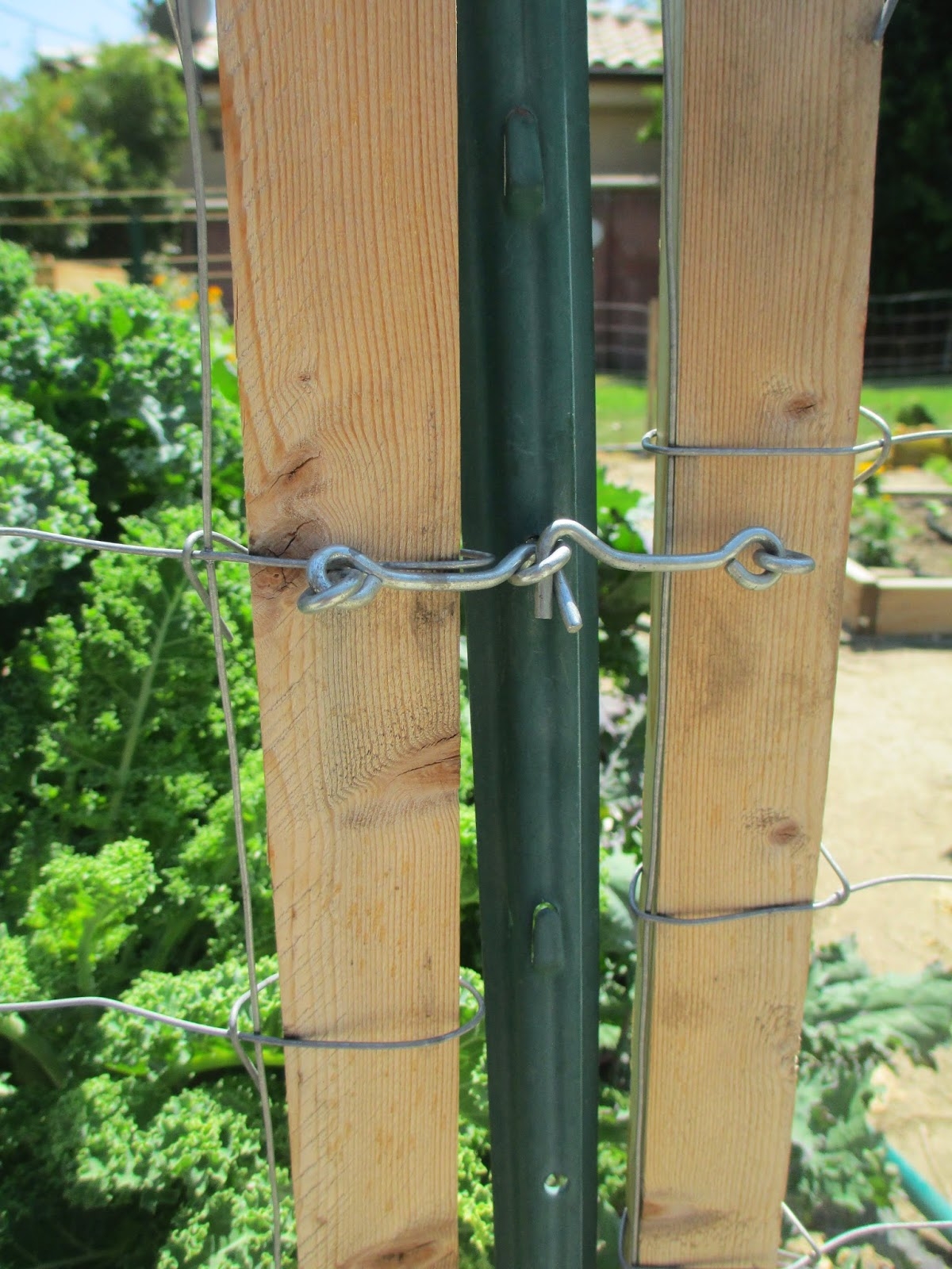 t post fence gate