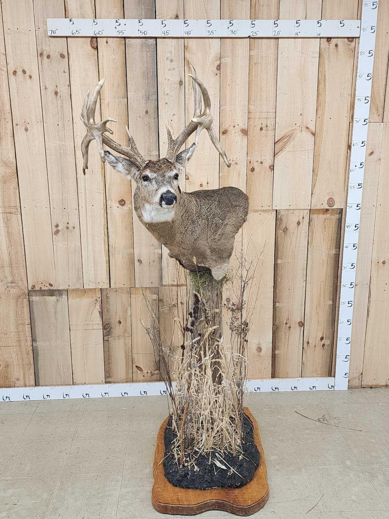fence post pedestal deer mount