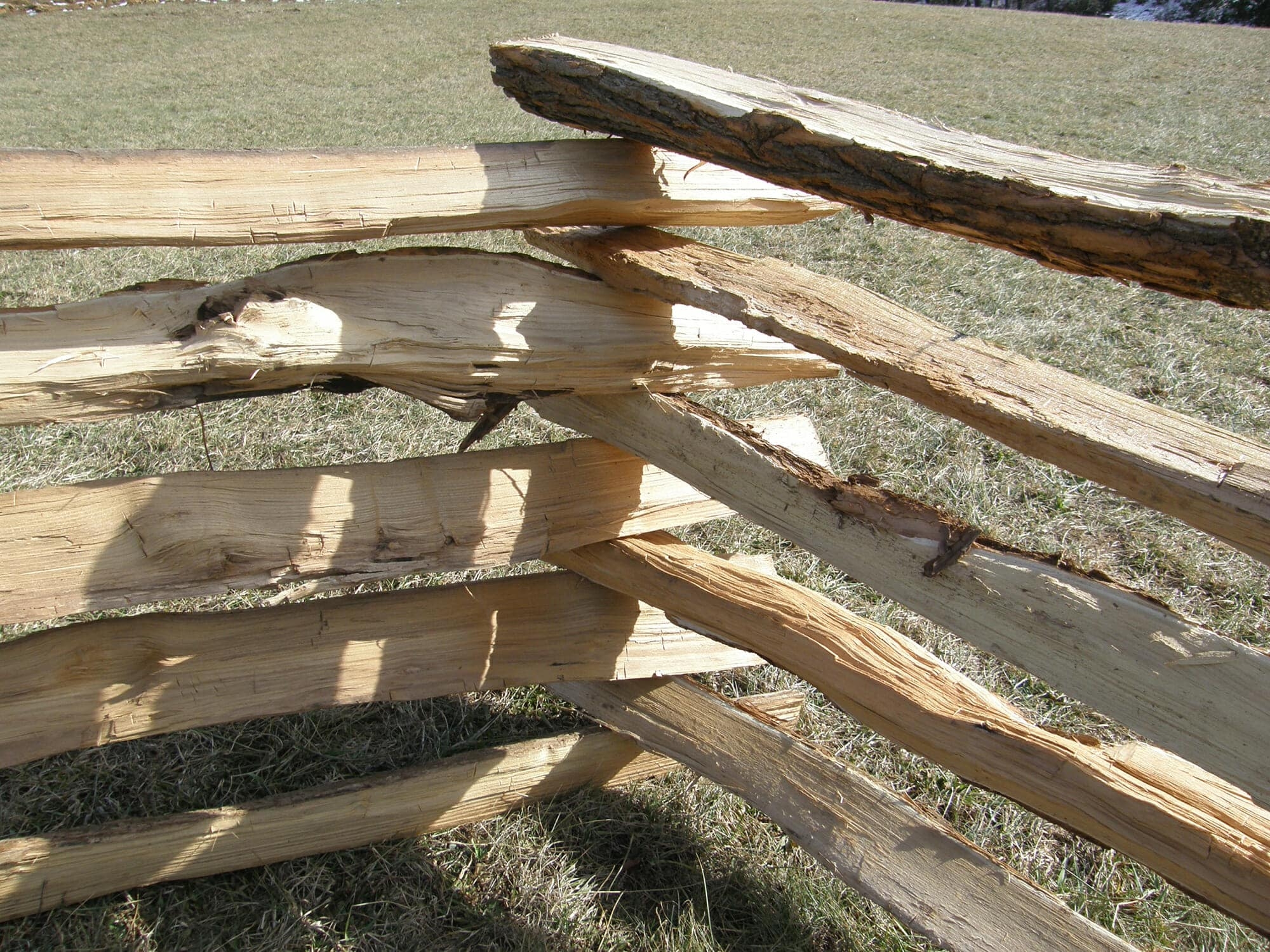 black locust fence posts