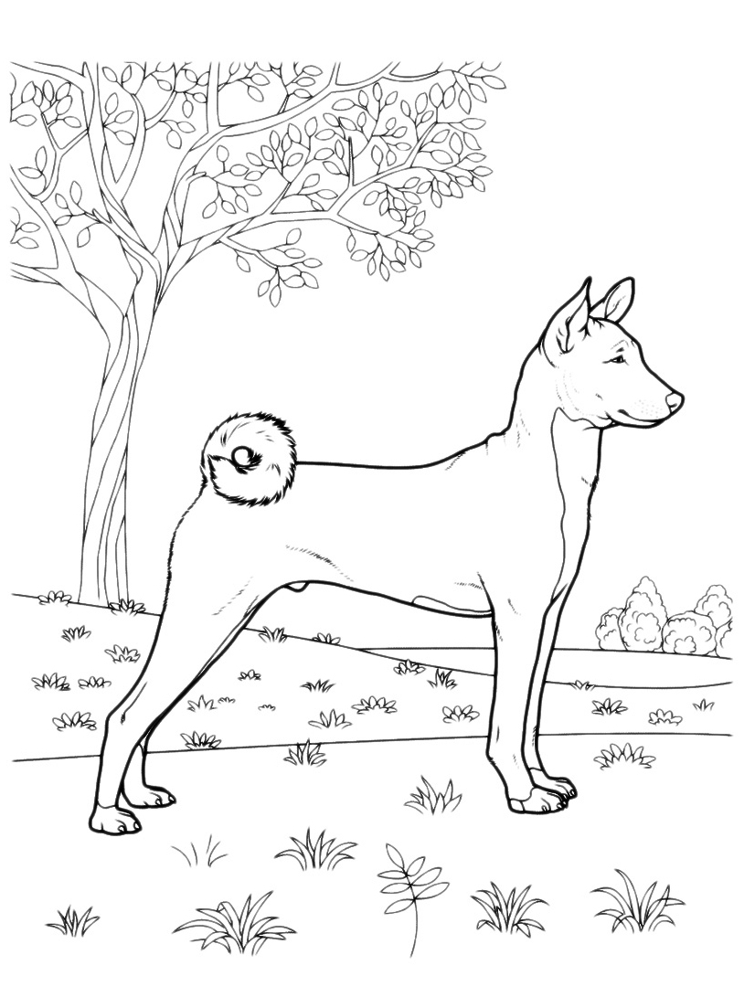 Cane Con Codino Arricciato Da Colorare Disegni Da Colorare
