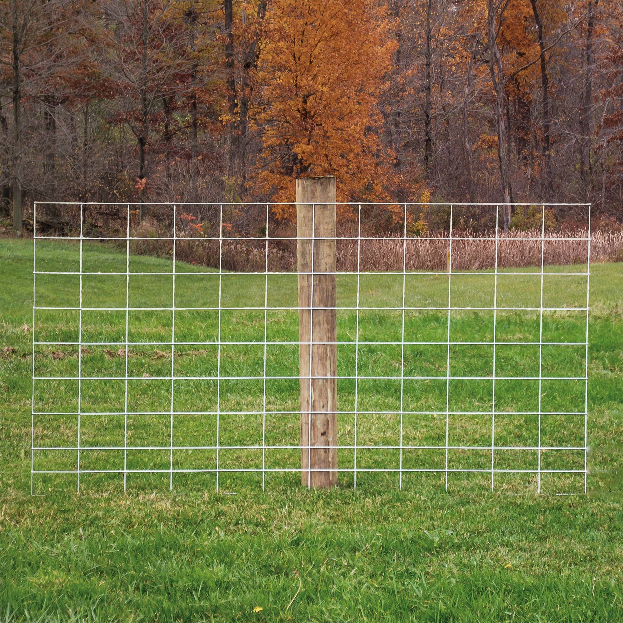 Cattle Panel 8 