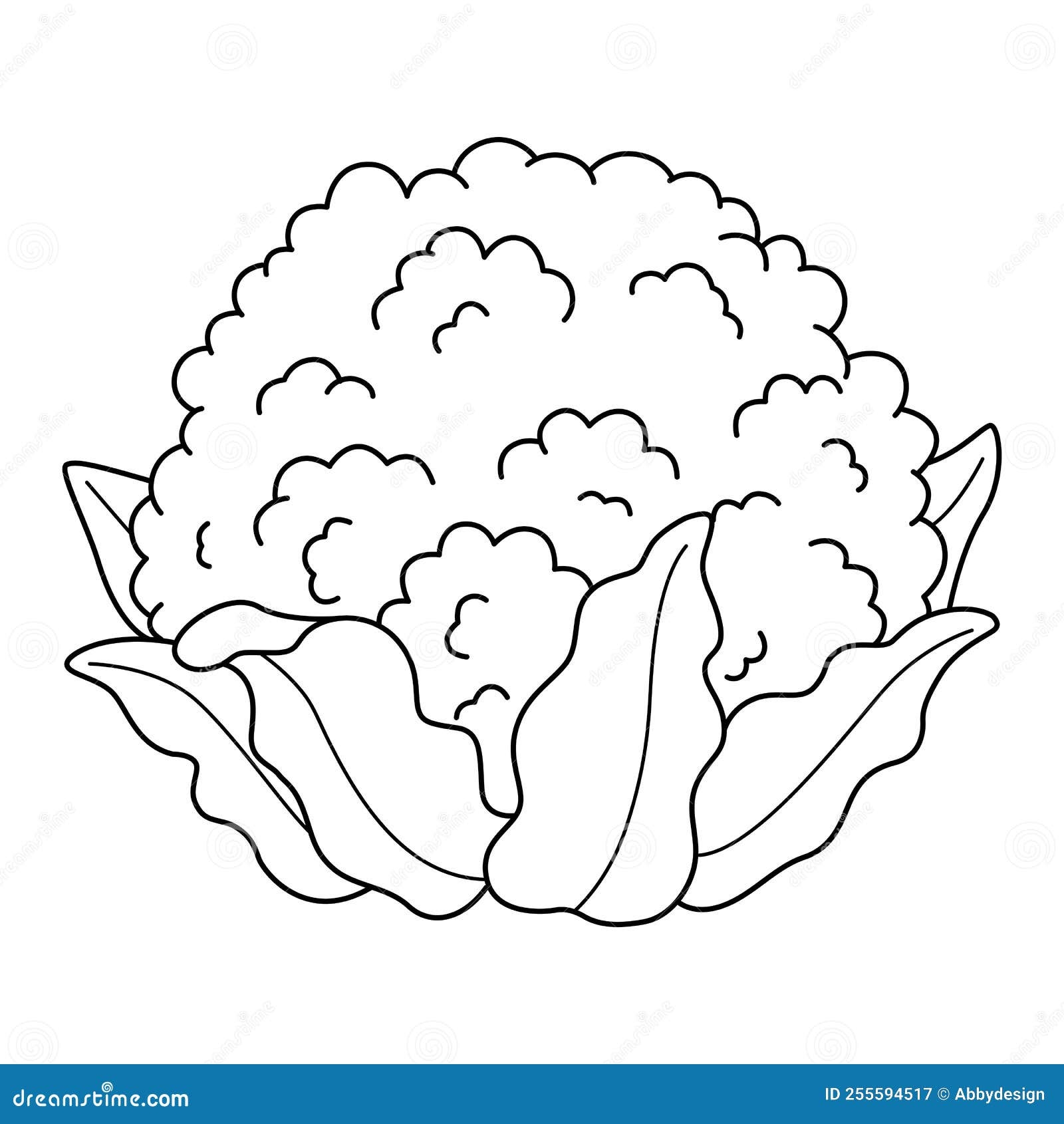 Cauliflower Vegetable Isolated Coloring Page Stock Vector Illustration Of Cauliflower Healthy 255594517