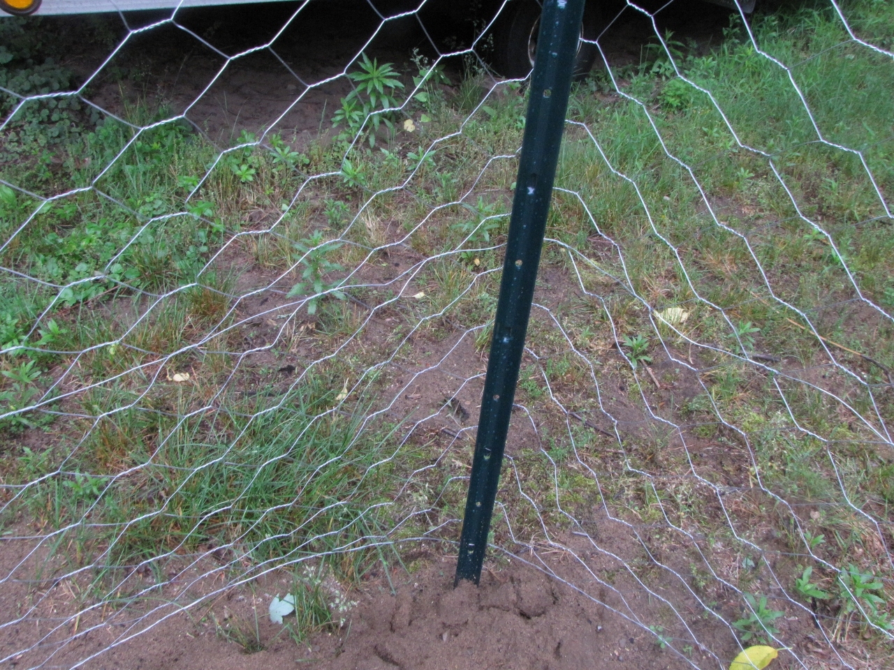 fence posts for chicken wire