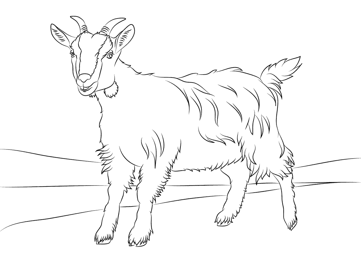 coloring pages of goats