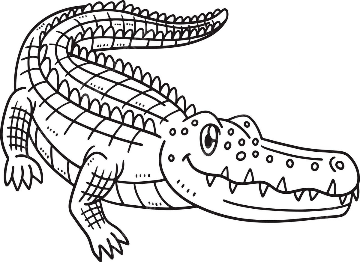 Crocodile Nature Page PNG Transparent Images Free Download Vector Files Pngtree