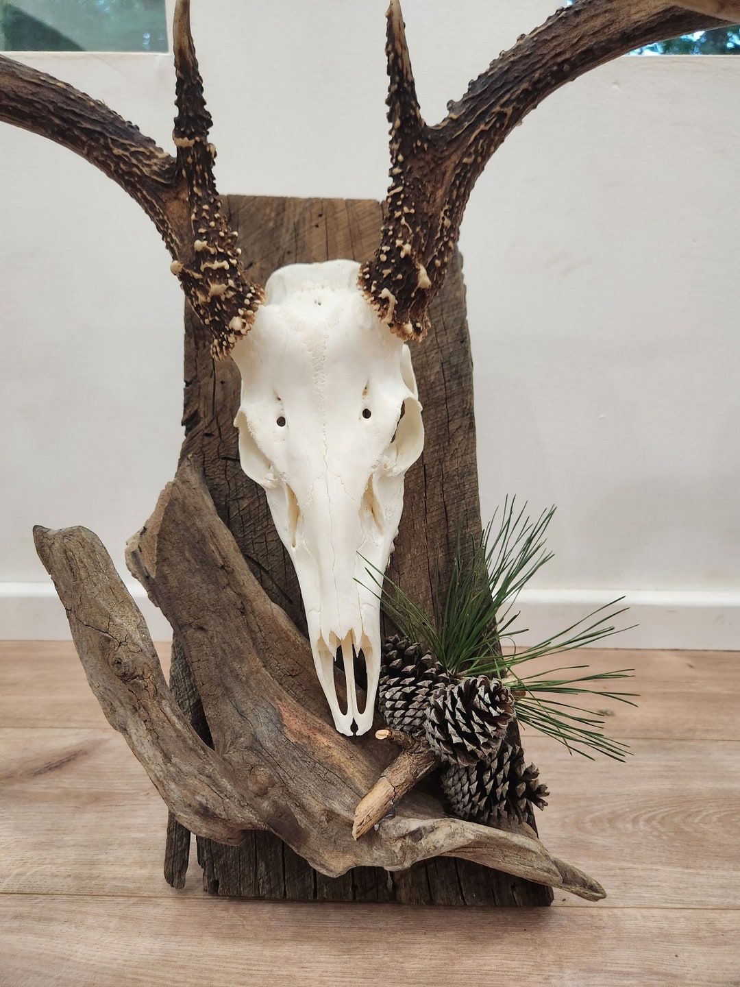 Custom Barn Wood Hand crafted Deer Skull European Mount Plaque Etsy