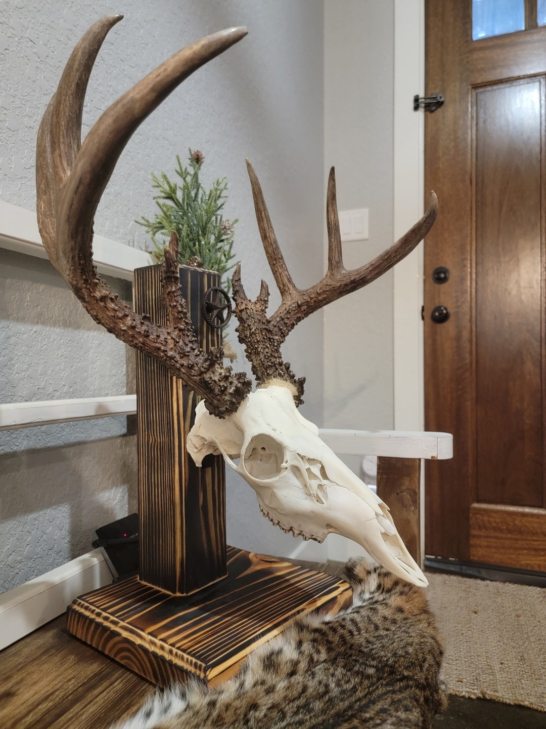 Custom Tabletop desktop Pedestal mount For European Mount BURNT Wood Finish Deer Sheep Boar More Hanger TAXIDERMY Etsy