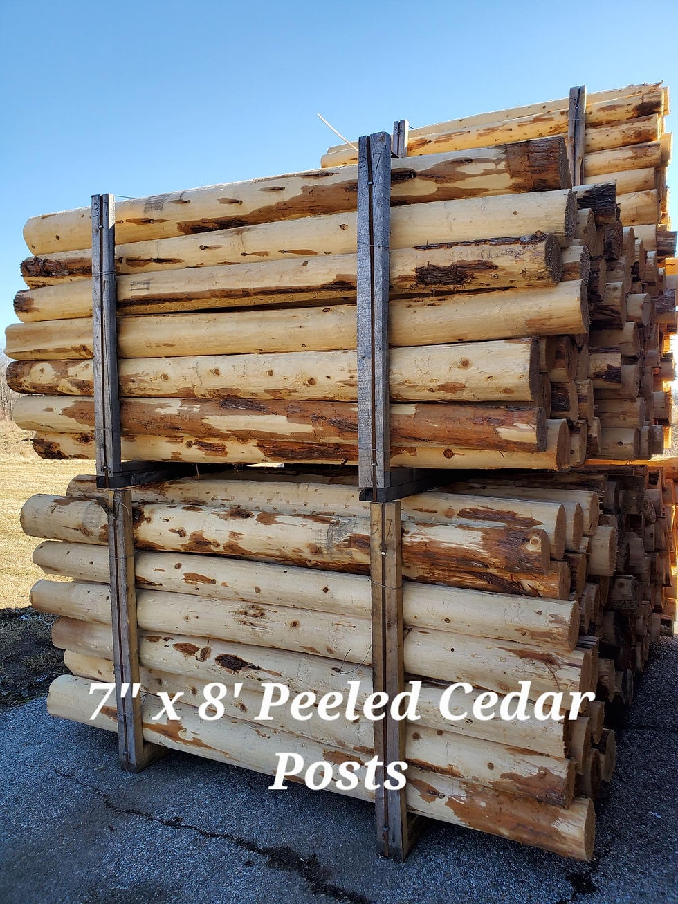 cedar fence posts for sale