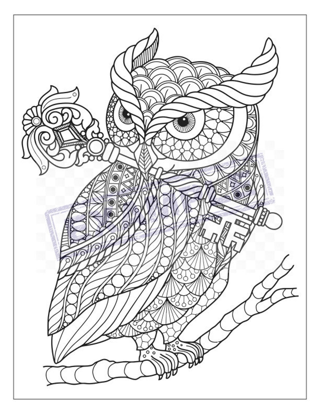 Detailed Owl Coloring Pages 21 Intricate Designs PDF Etsy