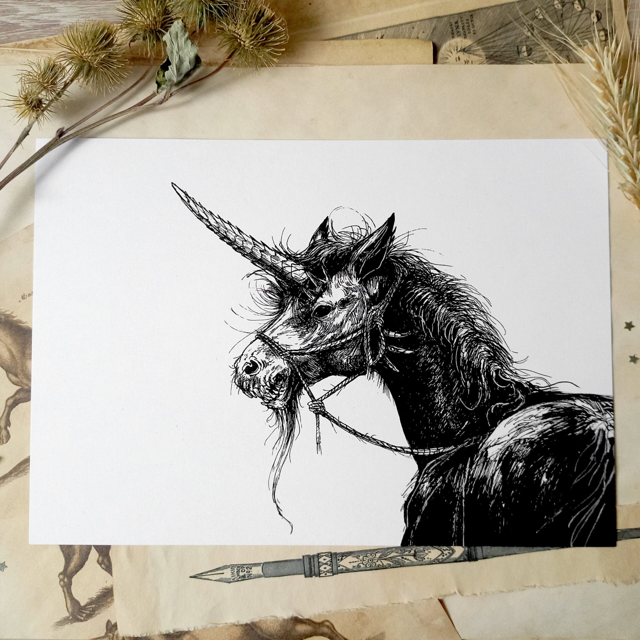 drawn unicorn mythical creature 2 mythical creatures