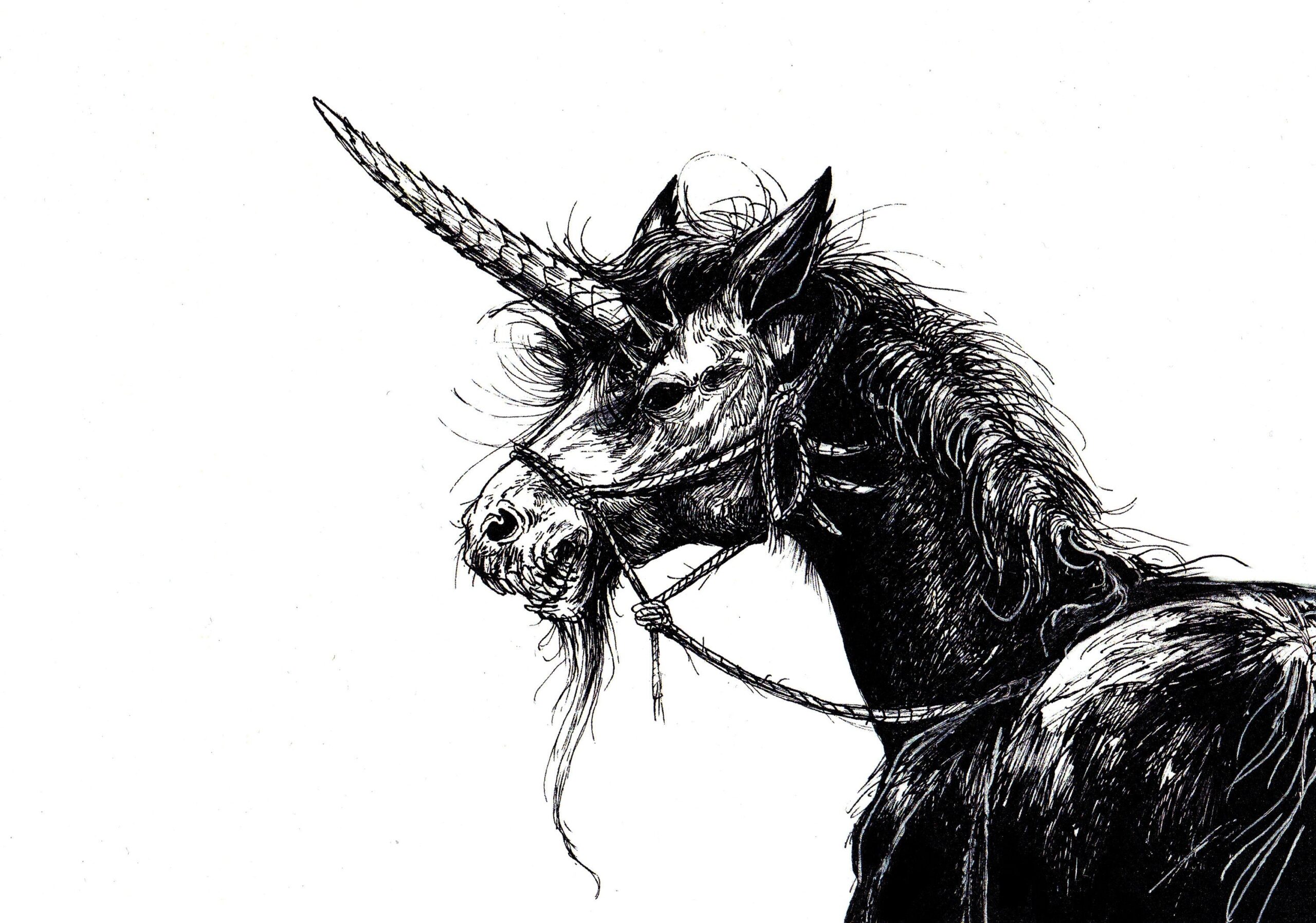 Dragon Unicorn Art Print Dark Unicorn Decor Halloween Horse Drawing Gothic Unicorn Witchcore Kelpie Fantasy Horse Inktober Art Etsy