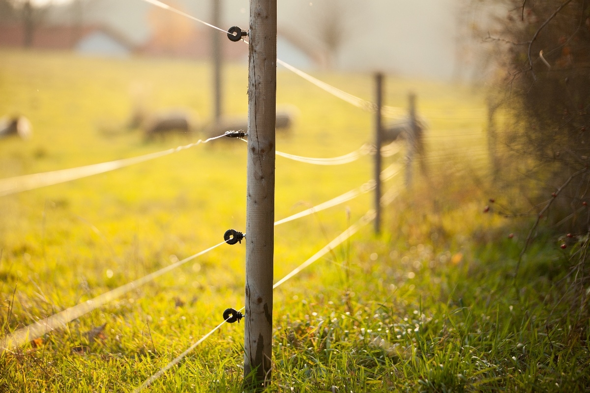 Exploring Electric Fences Insights Into FRP For Electric Fence Poles
