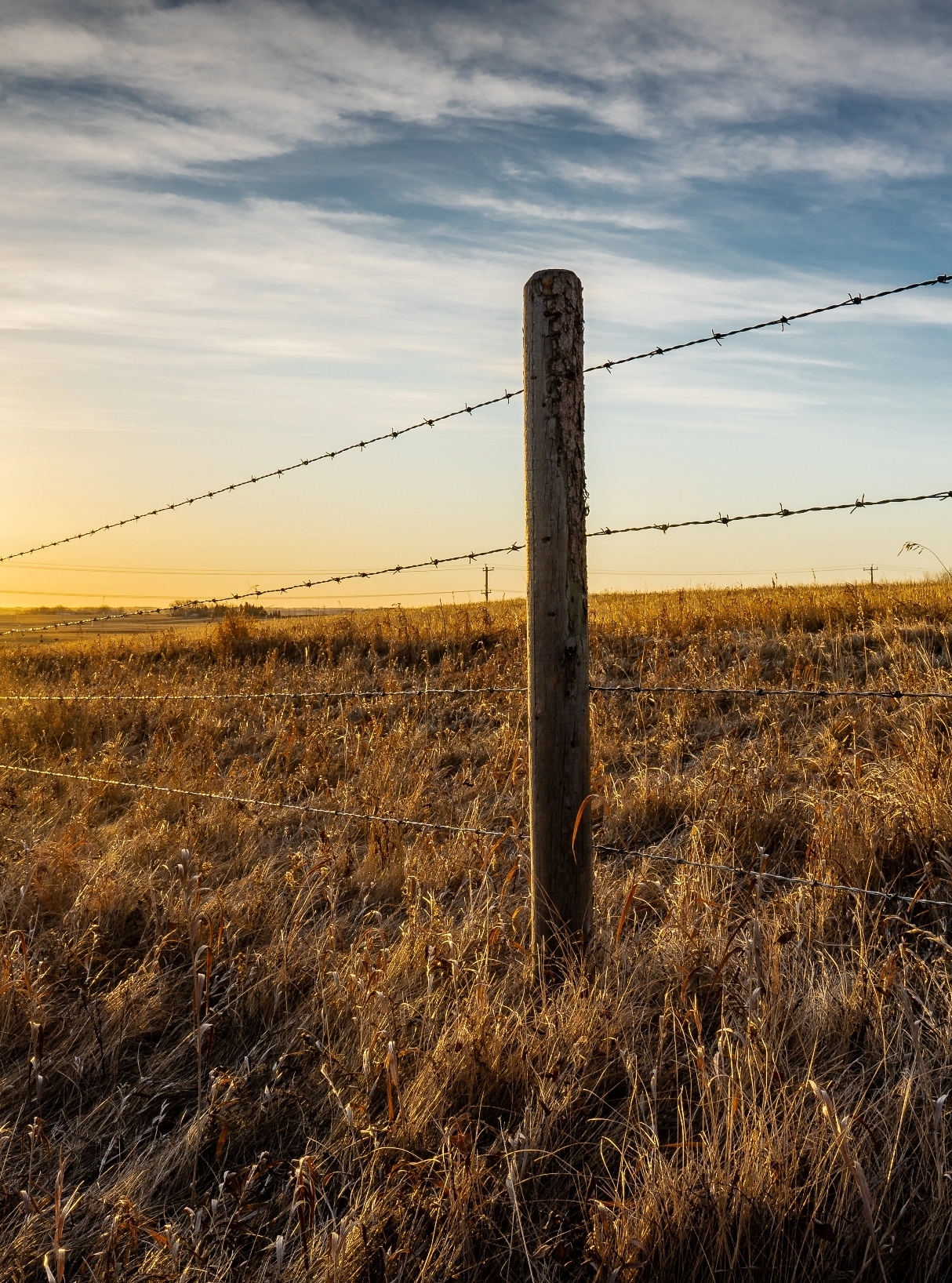 barbed wire fence post
