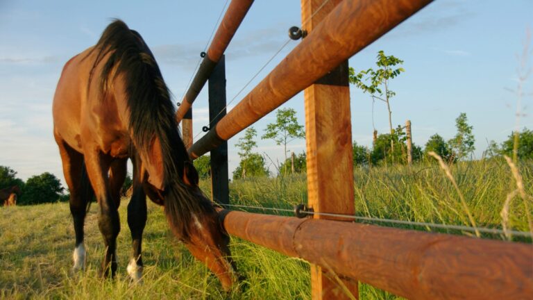 Fence Post Types Choosing The Right Type For Your Fence