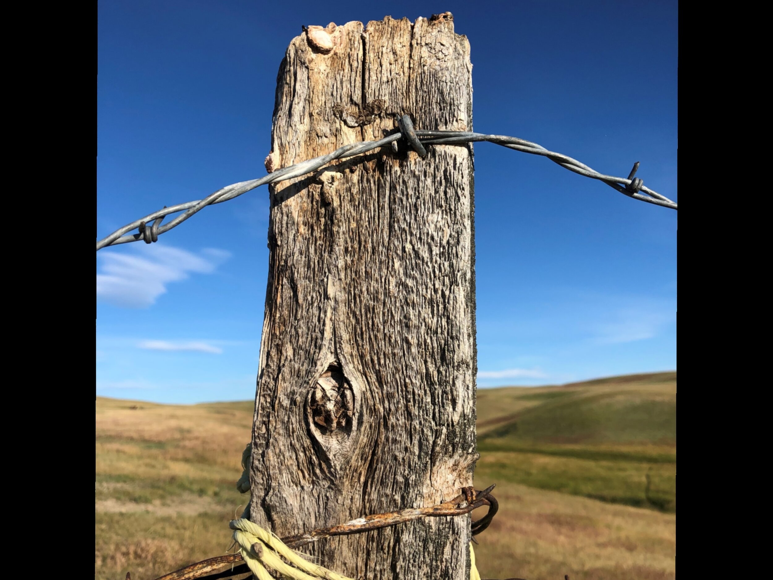 wooden posts for fencing