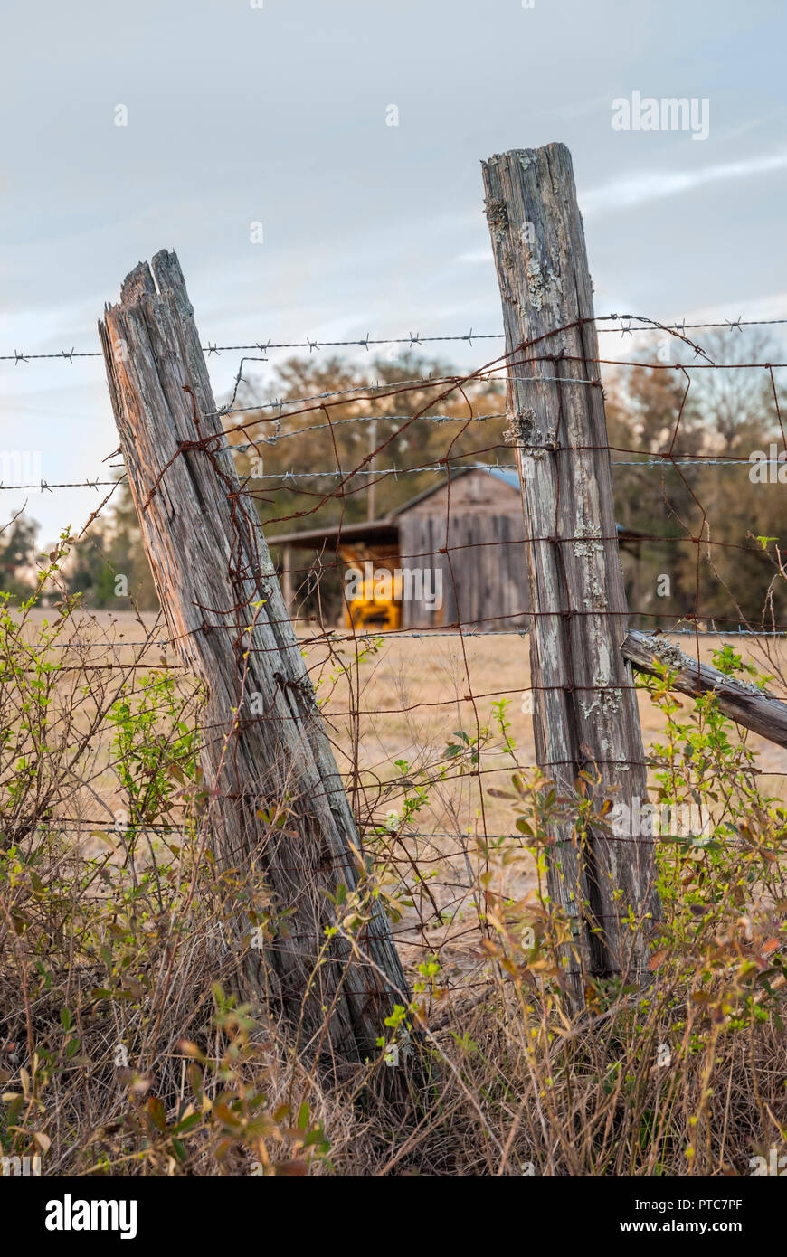 Fence Posts Barbed Wire And Barn On A Farm In North Central Florida Stock Photo Alamy