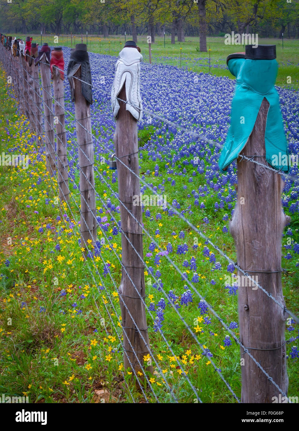Fence Posts Topped With Cowboy Boots In The Texas Hill Country Stock Photo Alamy