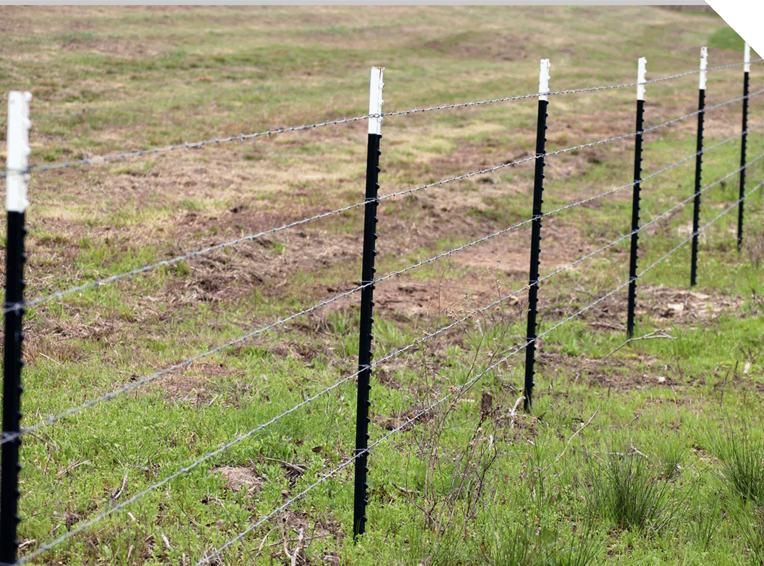 Fencing Guide C A L Ranch
