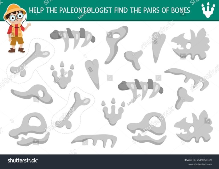 Find Pair Dinosaur Bones Prehistoric Matching Stock Vector Royalty Free 2519650109 Shutterstock