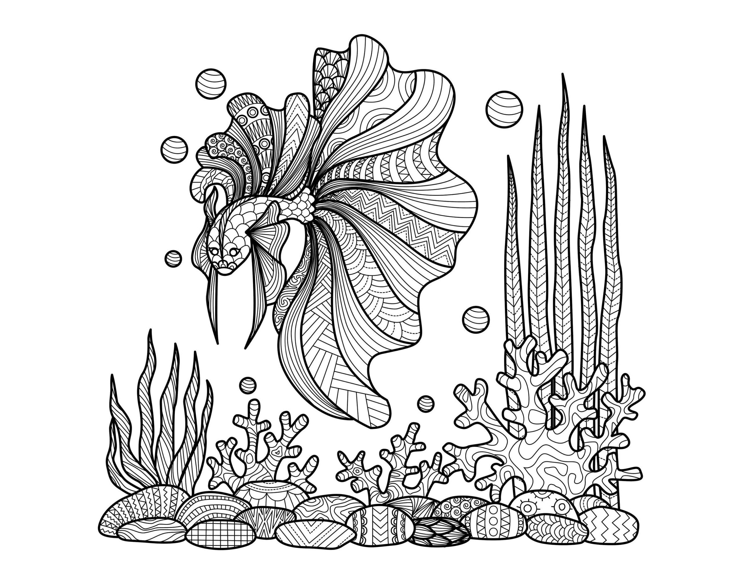 Fish Coloring Page For Children Fish Coloring Pages