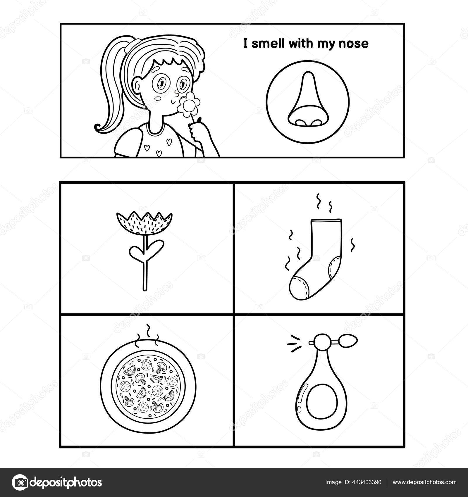 sense of smell coloring page coloring pages