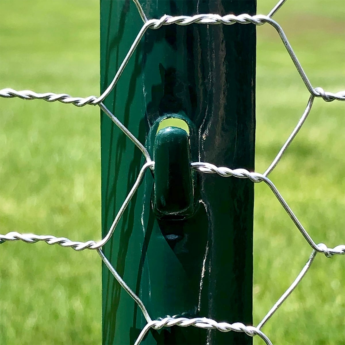 fence posts and chicken wire