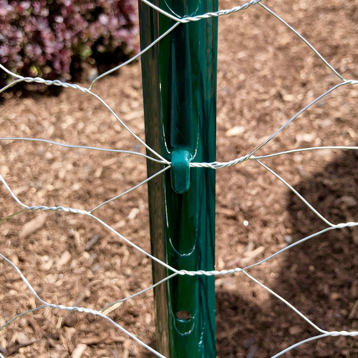 GARDEN CRAFT 50 ft X 2 ft Gray Steel Chicken Wire Rolled Fencing 2 in Mesh Size In The Rolled Fencing Department At Lowes