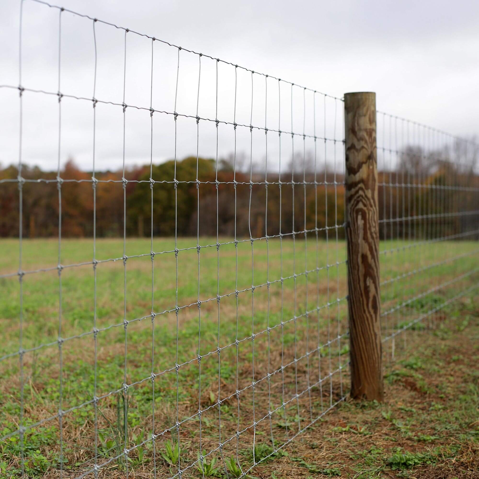 General Livestock Fence Stay Tuff Fence