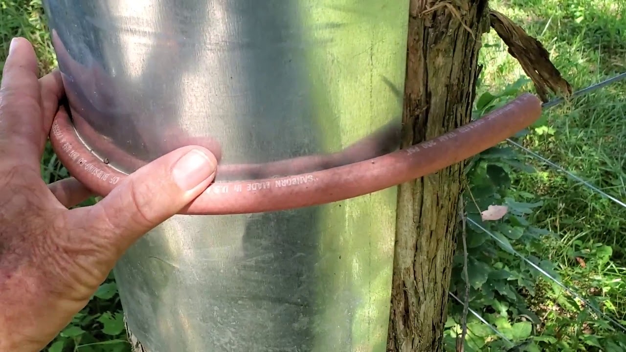 Greg Judy Uses Trees For Corner Posts Only After Protecting Them First YouTube