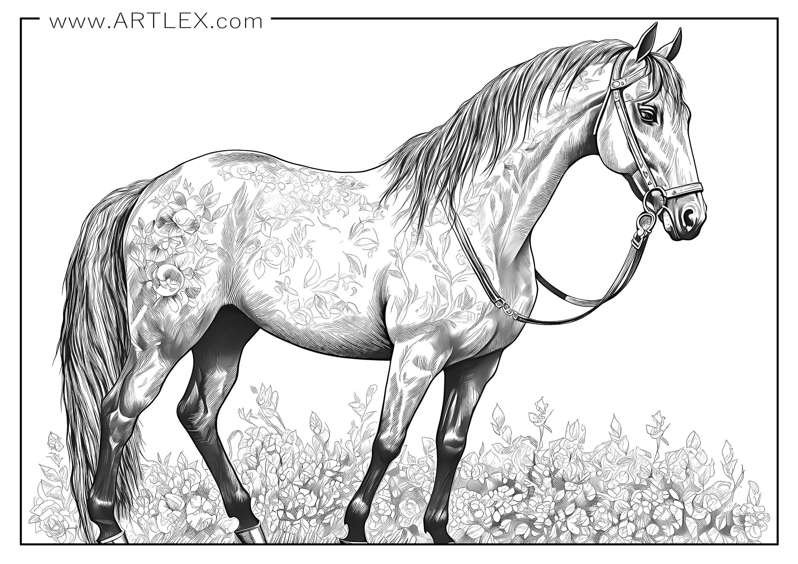 Horse Coloring Pages For Kids Adults World Of Printables Worksheets Library