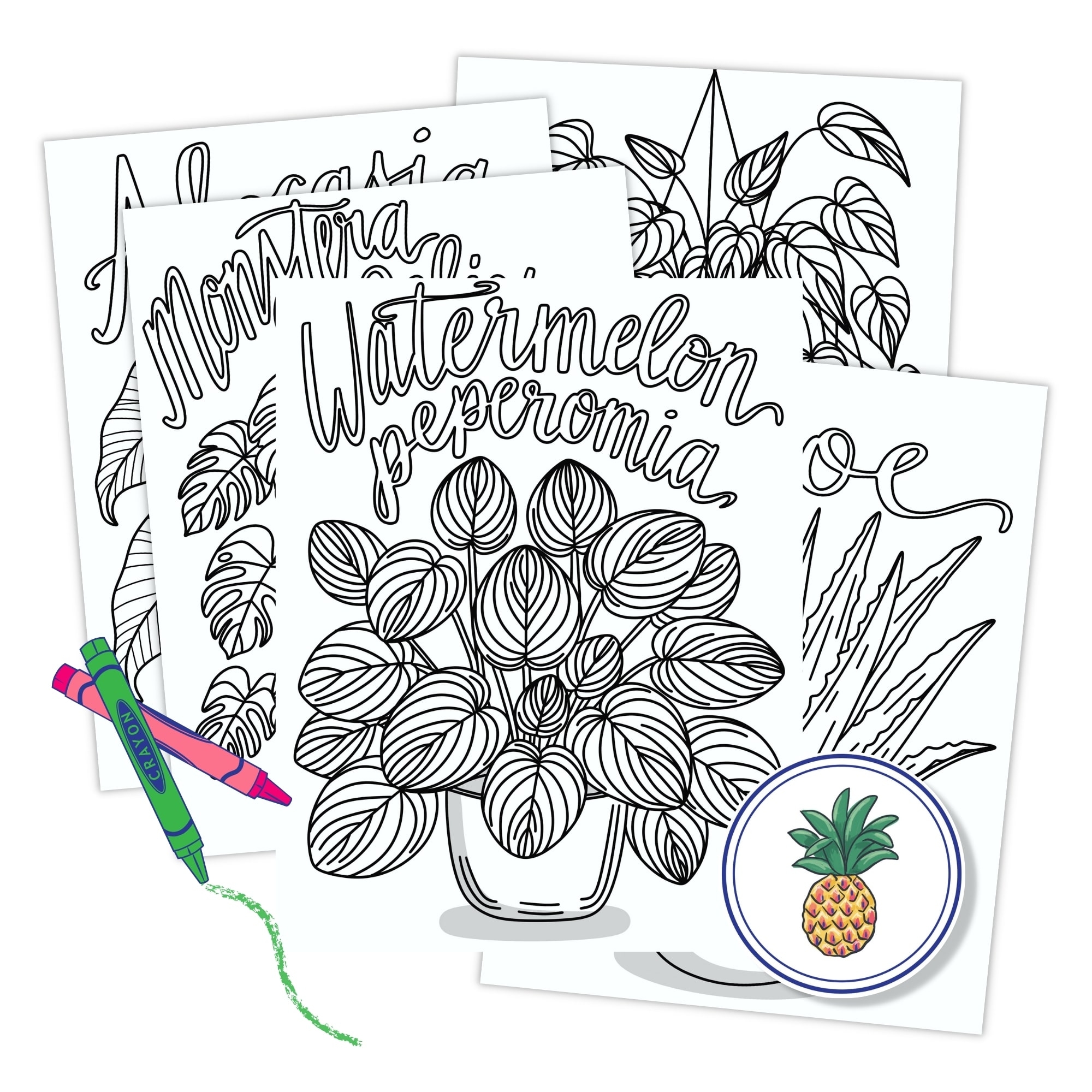 Houseplant Coloring Pages Pineapple Paper Co 