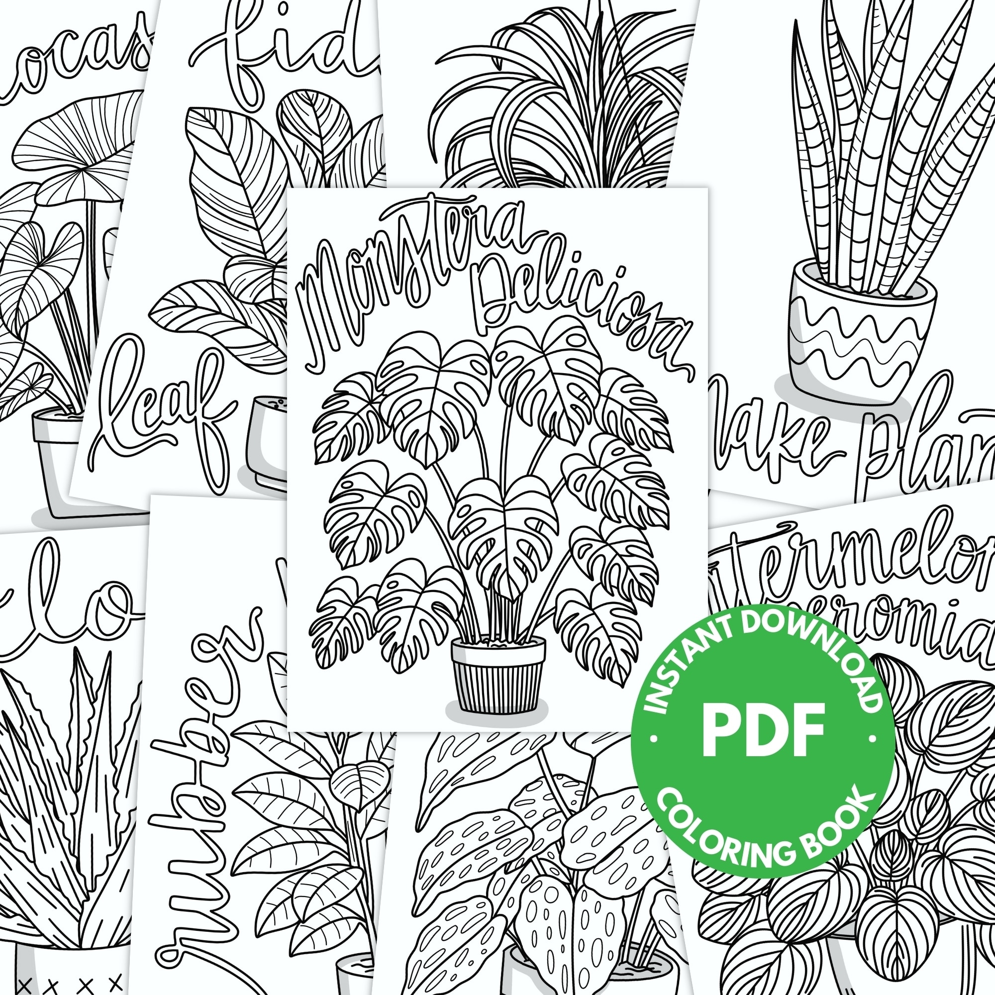 Houseplant Coloring Pages Pineapple Paper Co 