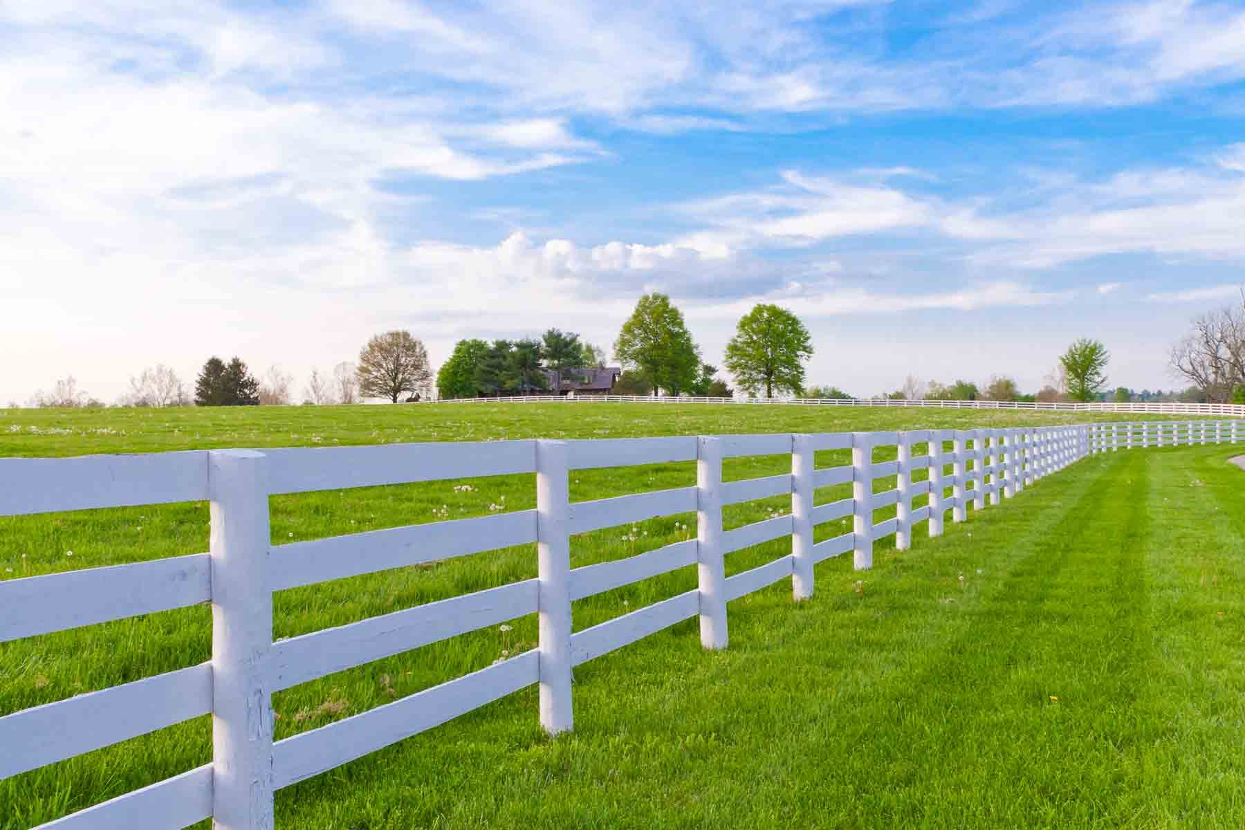 How Much Does A Split Rail Fence Cost 2025 