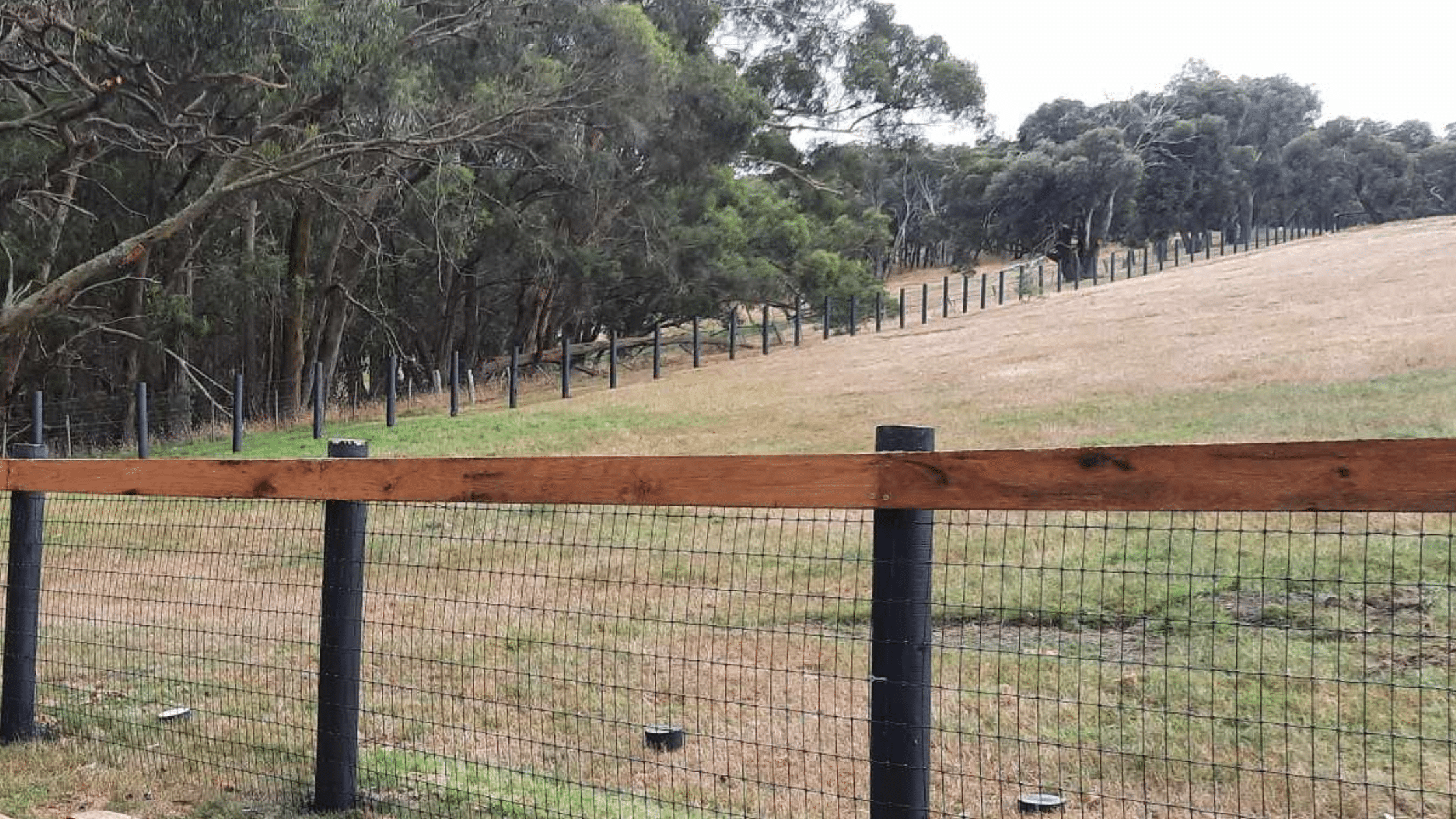 How To Attach Wire Mesh Fencing To Timber Post And Rail 