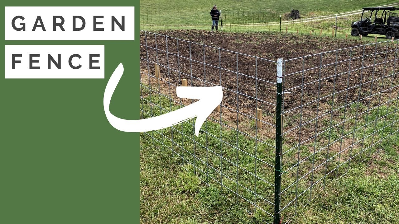 How To Build A Fence Around Garden T Post And Cattle Panel YouTube
