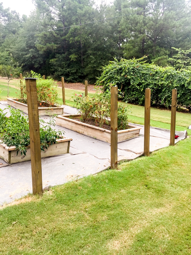 fence posts for garden