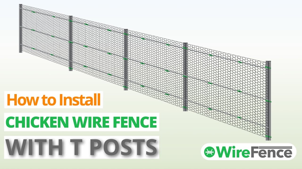 How To Install A Chicken Wire Fence With T Posts Quick Easy Wire Fence YouTube