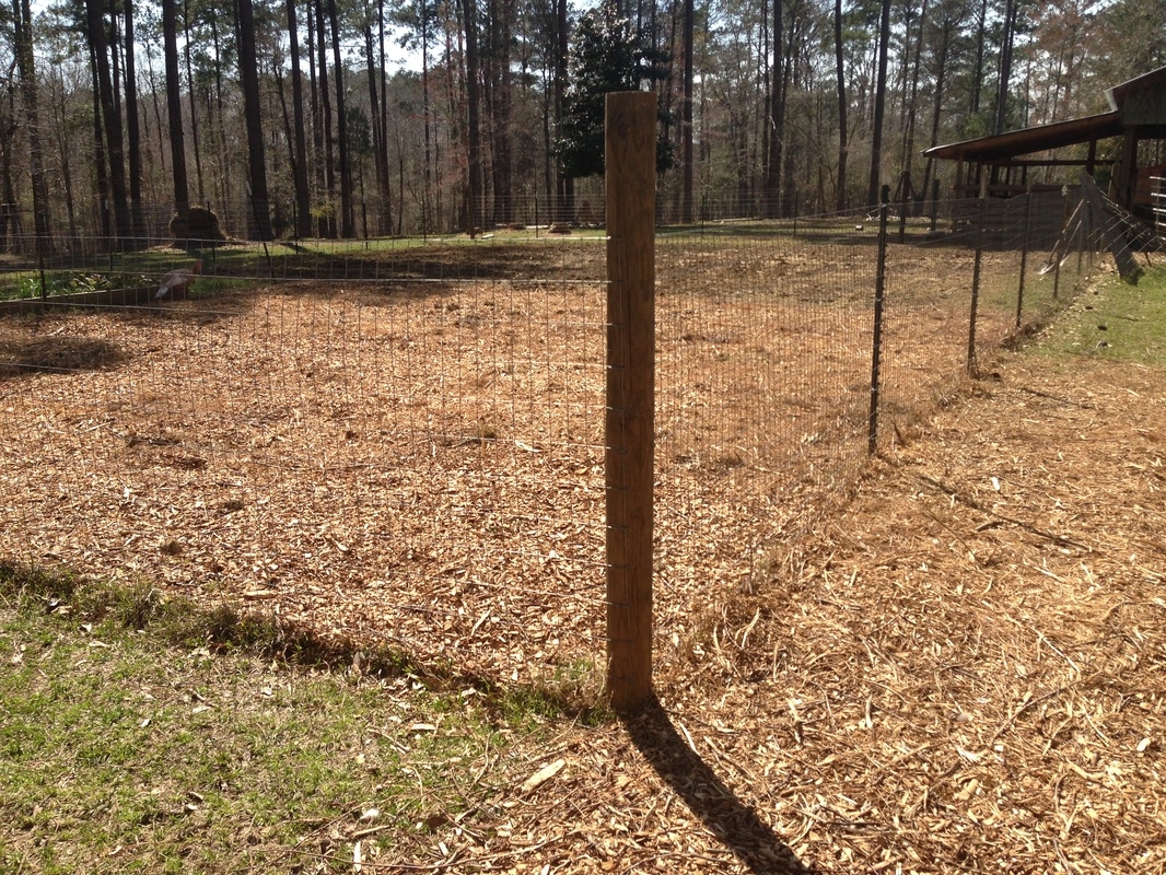 set a fence post without concrete