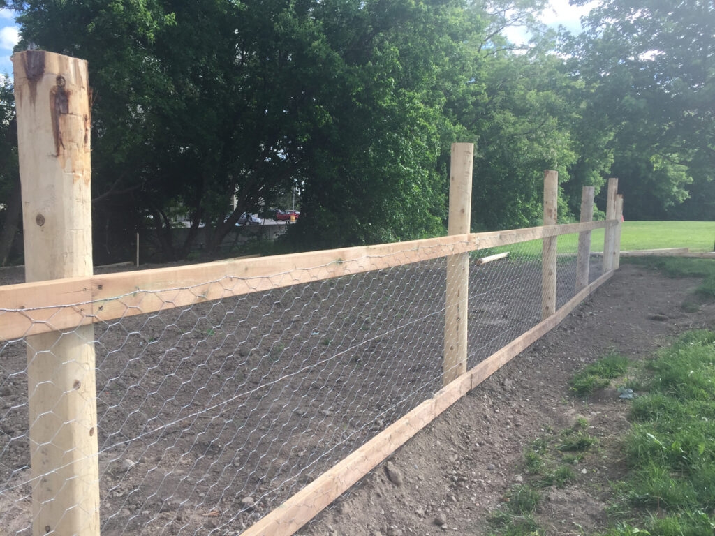 How To Use Galvanised Steel Chicken Wire To Create A Vegetable Garden The Mesh Company
