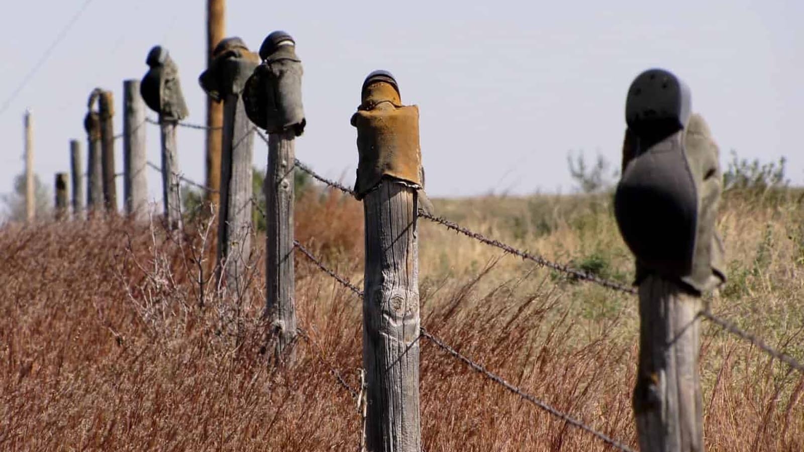 rural king fence post