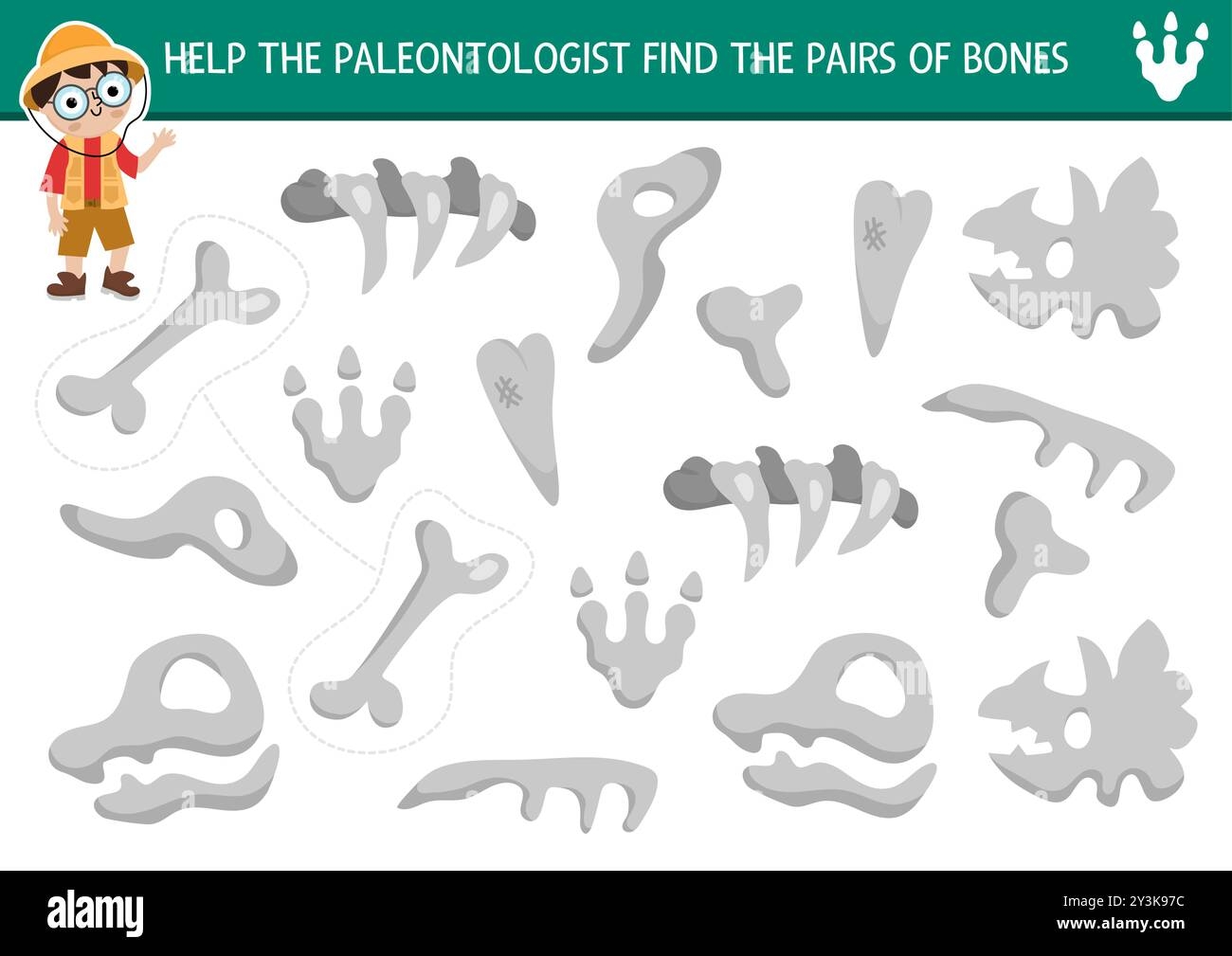 dinosaur bones prehistoric matching